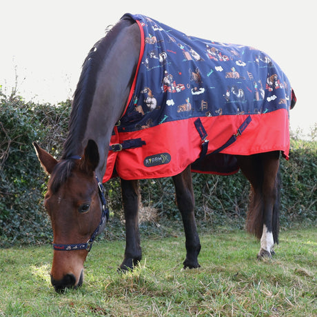 StormX Original 100g Thelwell Collection Practice Makes Perfect Turnout Rug