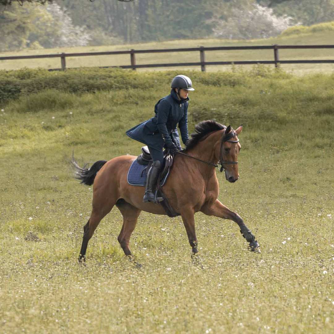 Toggi Griffiths Long Riding Coat