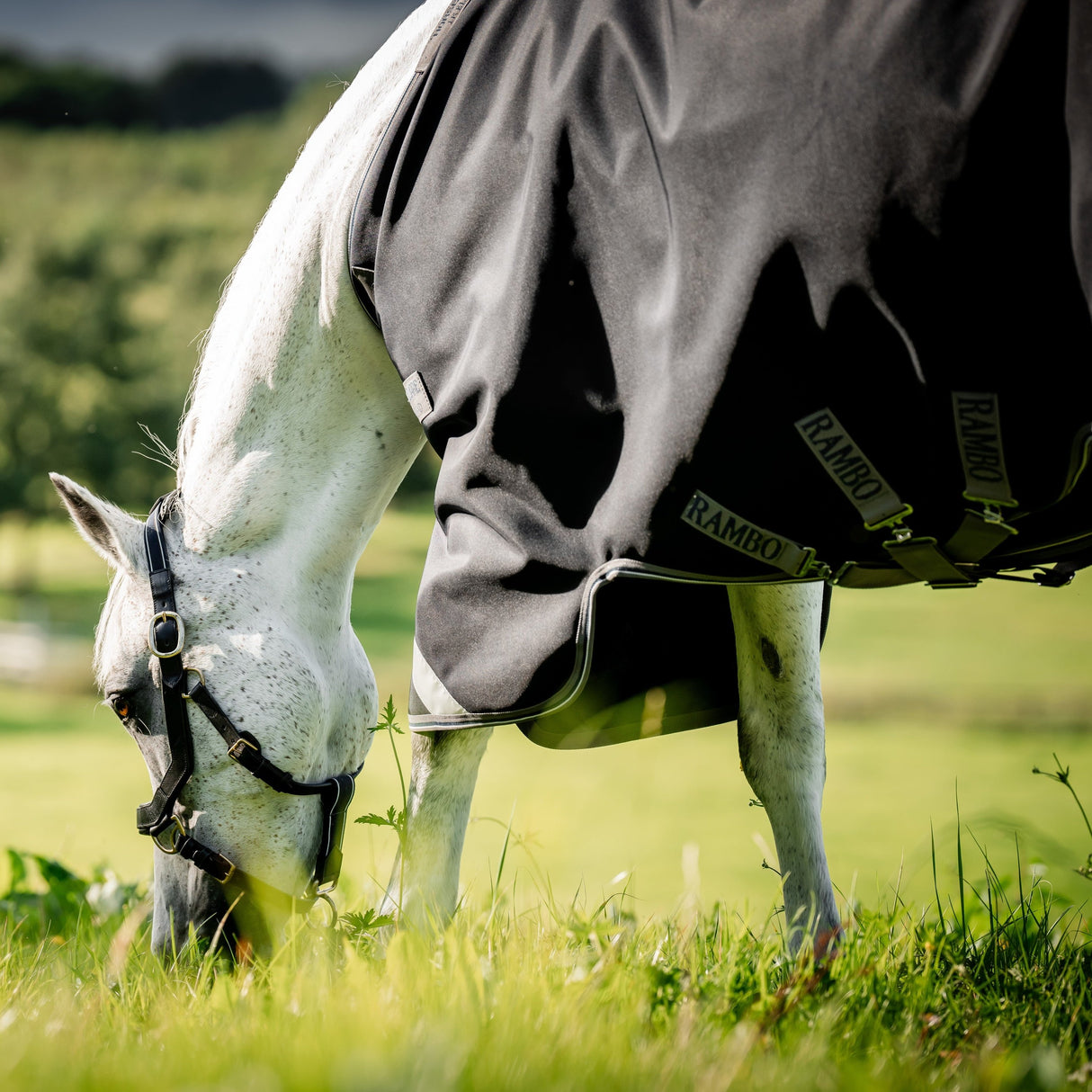 Horseware Ireland Rambo Supreme 1680D Turnout Vari-Layer 250g #colour_black-thunderstorm-grey-silver