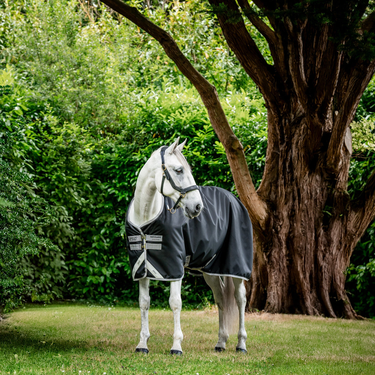 Horseware Ireland Amigo Bravo 12 Original 0g Lite Turnout Rug #colour_black-titanium-grey-silver