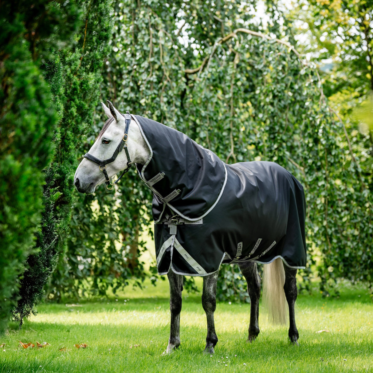 Horseware Ireland Amigo Bravo 12 Plus 400g Heavy Turnout Rug #colour_black-titanium-grey-silver