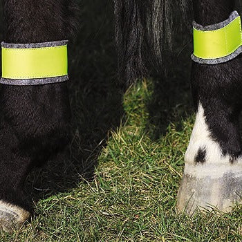 Norton Yellow Bandages For Hind Legs