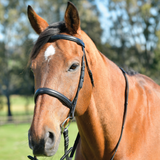 Kincade Classic Plain Raised Cavesson Bridle With Reins #colour_black