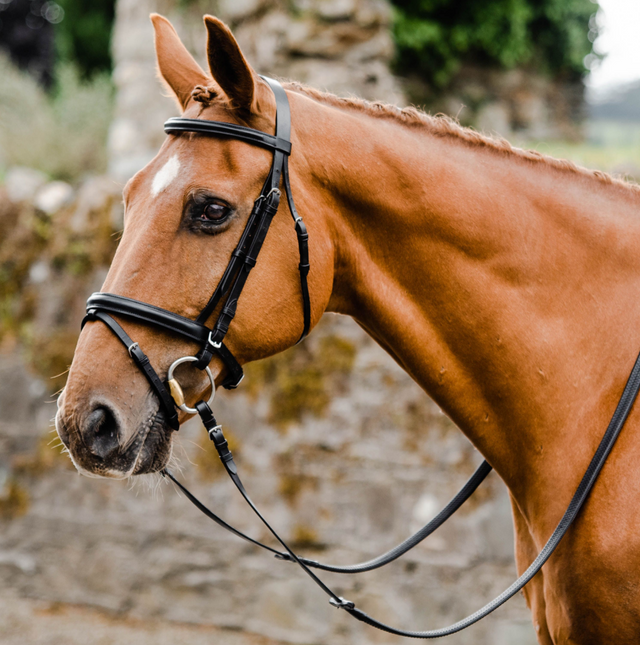 Equisential Bridle with Reins #colour_black