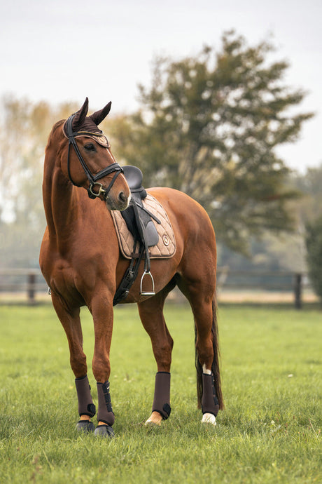 Back On Track Haze Collection Jumping Saddle Pad #colour_brown