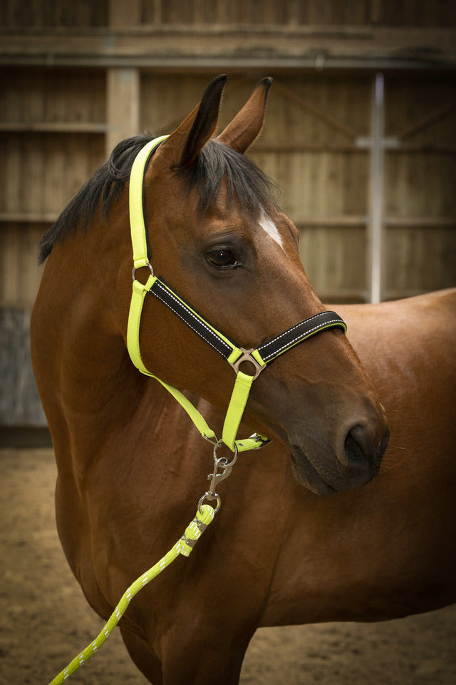 Equitheme High Visibility Halter #colour_yellow