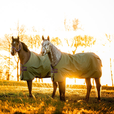 Horseware Ireland Amigo Hero 600D Ripstop Fleece Lined 50g Rug #colour_bramble-winterberry