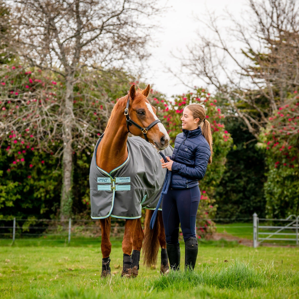 Horseware Ireland Amigo Hero 600D with Ripstop 50g #colour_shadow-blue-haze-navy