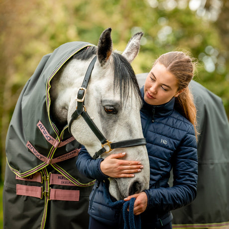 Horseware Ireland Amigo Hero 0g Turnout Rug #colour_shadow-rose-navy