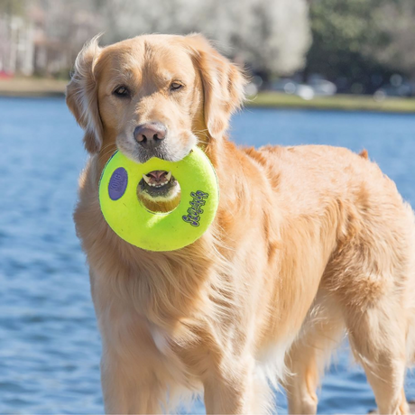 KONG Airdog Squeaker Donut #size_m