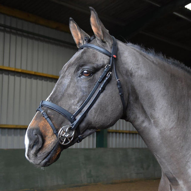 Whitaker Ready To Ride Snaffle Bridle #colour_black